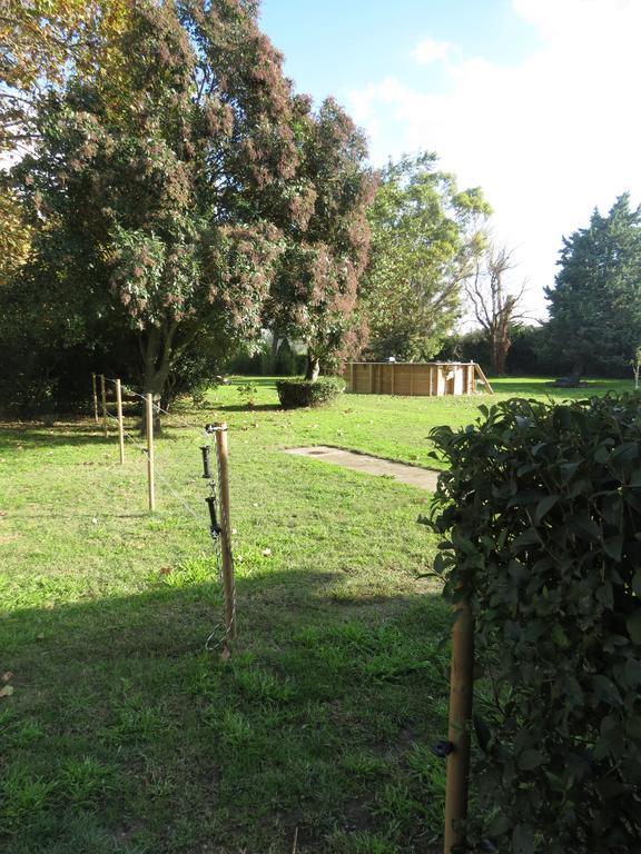 B&B Mas Les Lecques Beaucaire (Gard) Ngoại thất bức ảnh