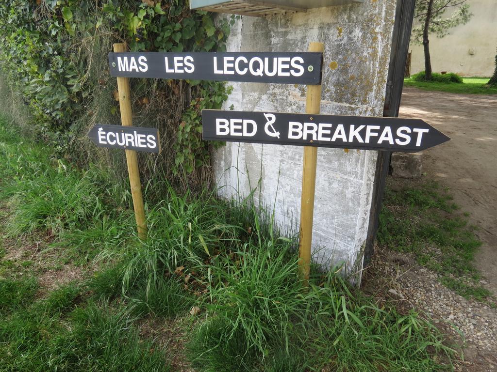 B&B Mas Les Lecques Beaucaire (Gard) Ngoại thất bức ảnh