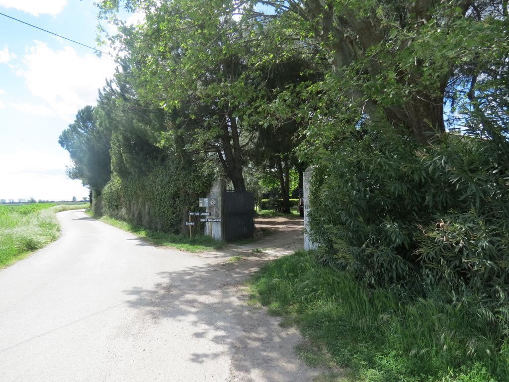 B&B Mas Les Lecques Beaucaire (Gard) Ngoại thất bức ảnh