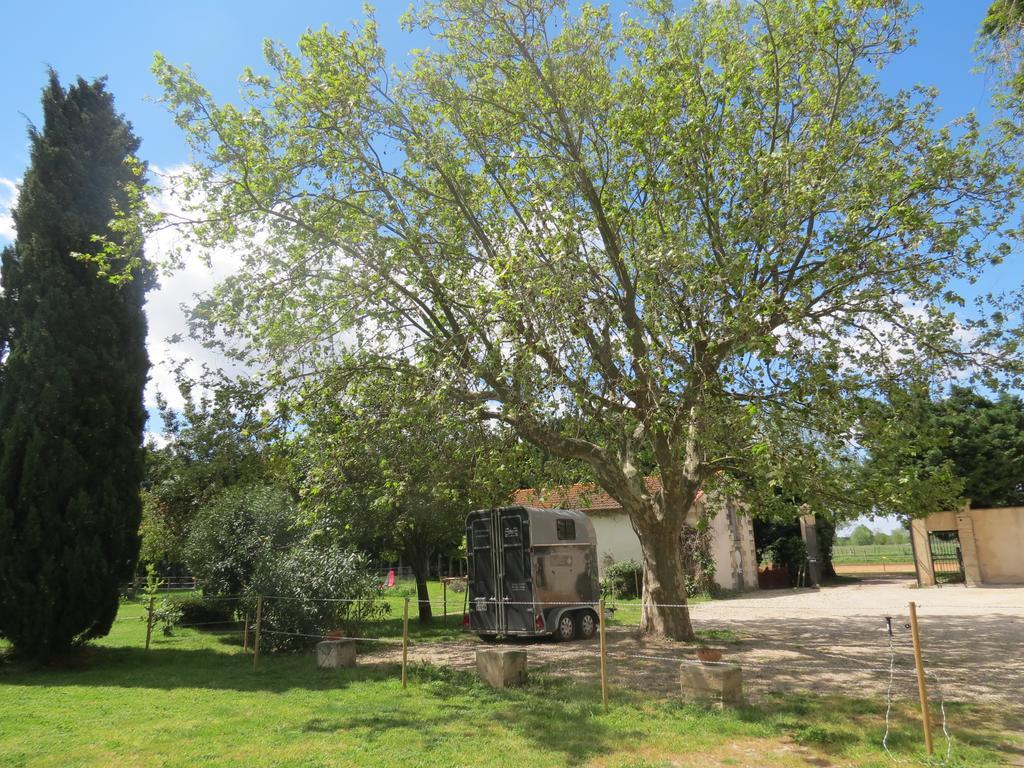 B&B Mas Les Lecques Beaucaire (Gard) Ngoại thất bức ảnh