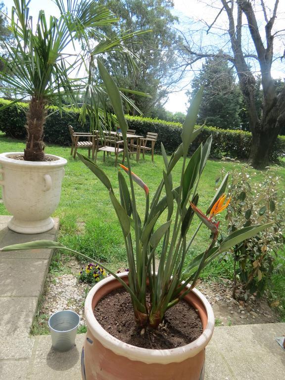 B&B Mas Les Lecques Beaucaire (Gard) Ngoại thất bức ảnh