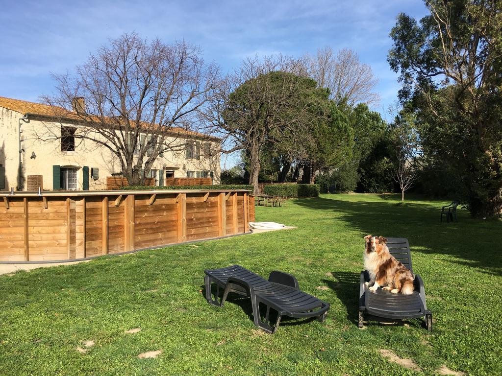 B&B Mas Les Lecques Beaucaire (Gard) Ngoại thất bức ảnh